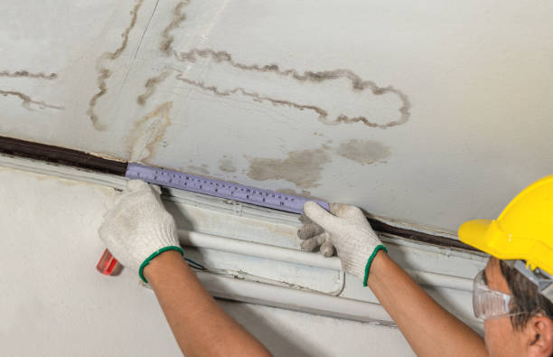 Reliable Sewage Cleanup contractor in Meridian, MS by Water Damage Irwin